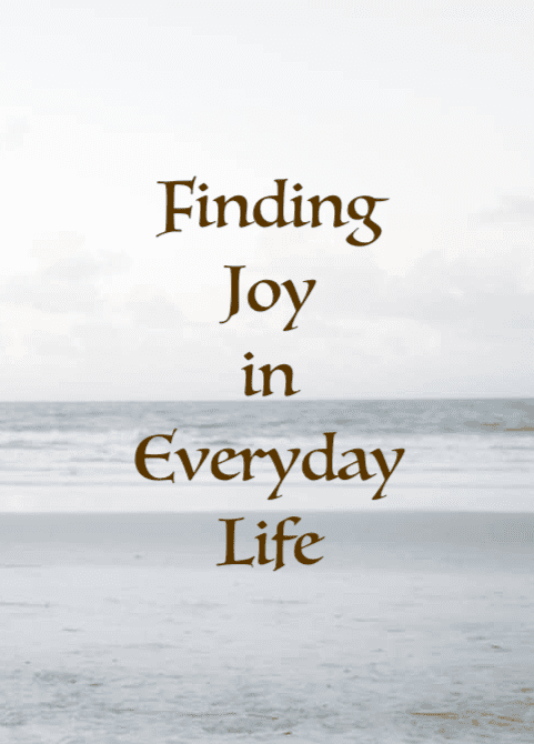 Finding Joy in Everyday Life