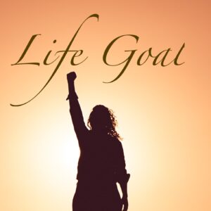 What Is Life About? Joy, Goals and Relationships